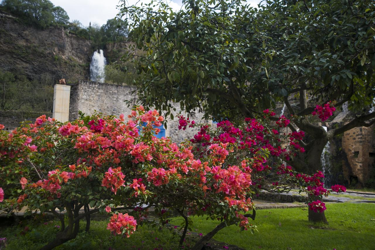 Hacienda Santa Maria Regla Hotell Huasca de Ocampo Eksteriør bilde